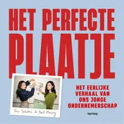 Omslag van Het perfecte plaatje