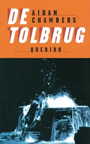 Omslag van De tolbrug