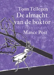 Omslag van De almacht van de boktor