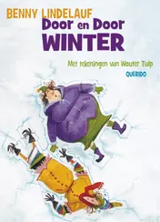Omslag van Door en Door Winter