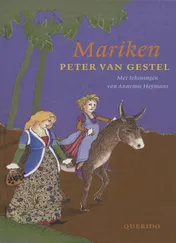 Omslag van Mariken