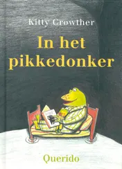 Omslag van In het pikkedonker
