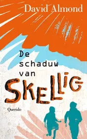 Omslag van De schaduw van Skellig
