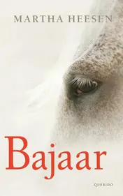 Omslag van Bajaar