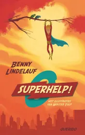 Omslag van Superhelp