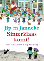 Omslag van Sinterklaas komt!