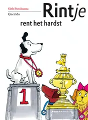 Omslag van Rintje