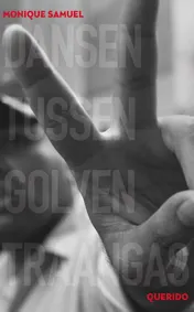 Omslag van Dansen tussen golven traangas