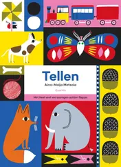 Omslag van Tellen