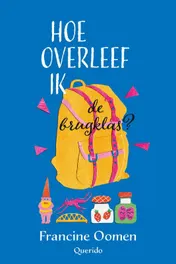 Omslag van Hoe overleef ik de brugklas?
