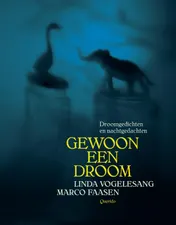 Omslag van Gewoon een droom