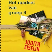 Omslag van Het raadsel van groep 6