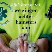 Omslag van We gingen achter hamsters aan