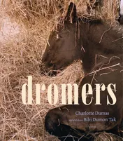 Omslag van Dromers