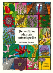 Omslag van De vrolijke plantenencyclopedie