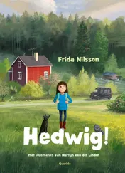 Omslag van Hedwig!