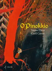 Omslag van O Pinokkio