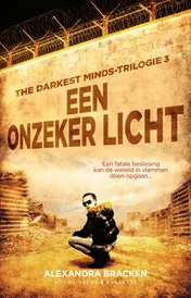 Omslag van Een onzeker licht