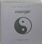 Omslag van Duizend wegen naar energie