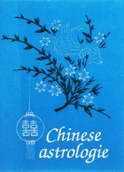 Omslag van Chinese astrologie
