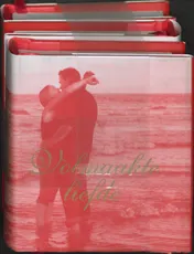 Omslag van Volmaakte liefde 3 ex