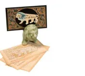Omslag van Het geheim van de leeuw