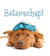 Omslag van Beterschap!