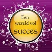 Omslag van Een wereld vol succes