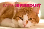 Omslag van Katten Breeduit