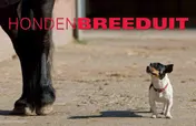 Omslag van Honden Breeduit