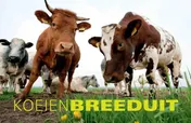 Omslag van Koeien Breeduit