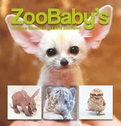 Omslag van ZooBaby's