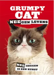 Omslag van Grumpy Cat NEEgen levens