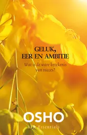 Omslag van Geluk, eer en ambitie