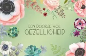 Omslag van Een doosje vol gezelligheid