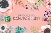 Omslag van Een doosje vol dankbaarheid