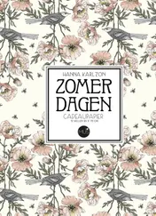 Omslag van Zomerdagen - cadeaupapier