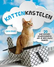 Omslag van Kattenkastelen