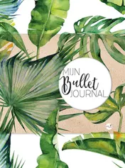Omslag van Mijn bullet journal