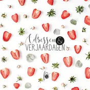 Omslag van F&B Adressen & verjaardagen