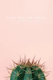 Omslag van Elke dag een vraag