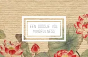 Omslag van Een doosje vol mindfulness