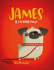Omslag van James is z'n mens kwijt