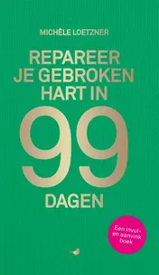 Omslag van Repareer je gebroken hart in 99 dagen
