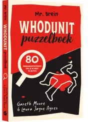 Omslag van Mr. Brein Whodunit Puzzelboek