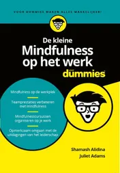 Omslag van De kleine Mindfulness op het werk voor Dummies