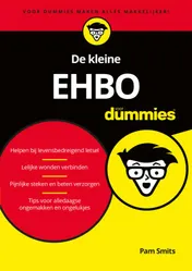 Omslag van De kleine EHBO voor Dummies