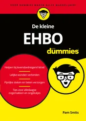 Omslag van De kleine EHBO voor Dummies