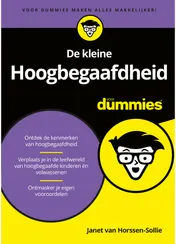 Omslag van De kleine Hoogbegaafdheid voor Dummies