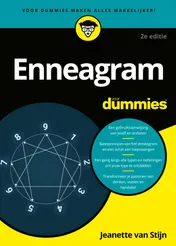Omslag van Enneagram voor Dummies